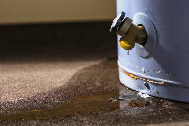 Best Sewage cleanup and water damage restoration  in Mledgevle, IL