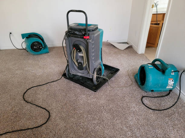 Carpet water damage restoration in Milledgeville, IL