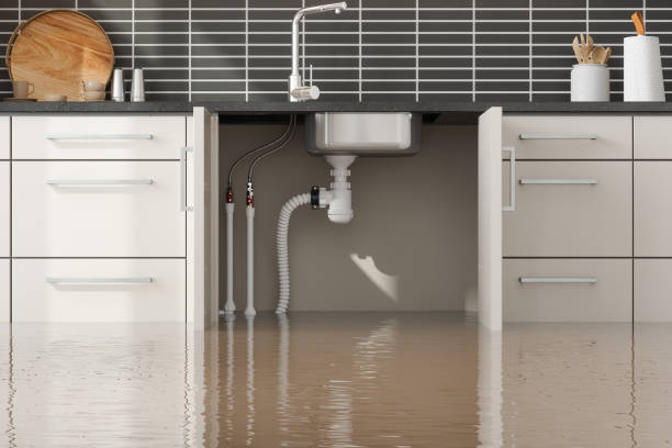 Best Emergency water damage restoration  in Mledgevle, IL